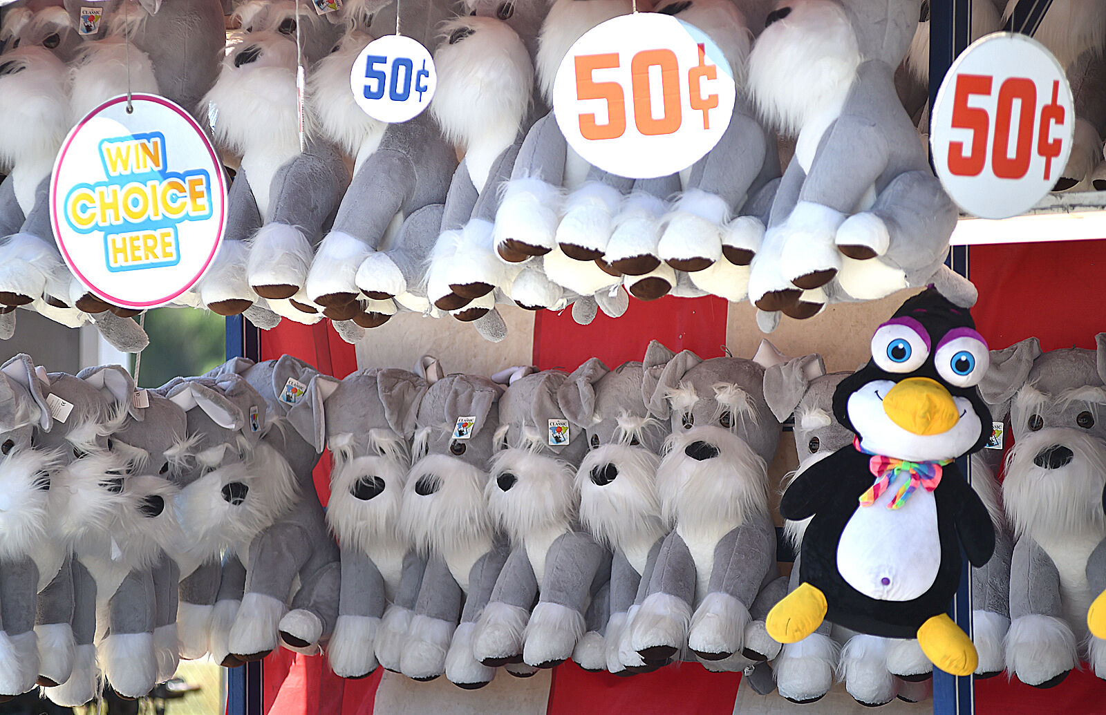 School Days at County Fair